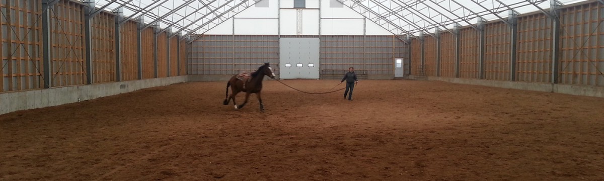 Woman with horse inside cobra equestrian fabric structure